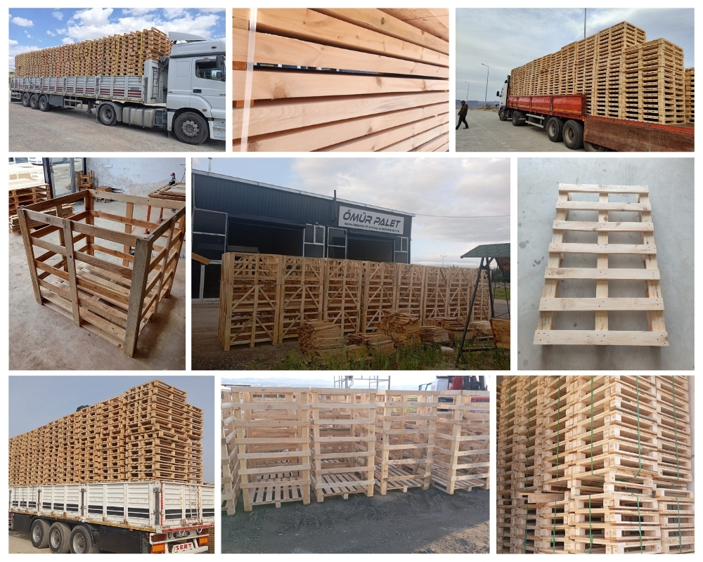 Teignmouth Wooden Pallets, Buy Wooden Pallets Wholesale